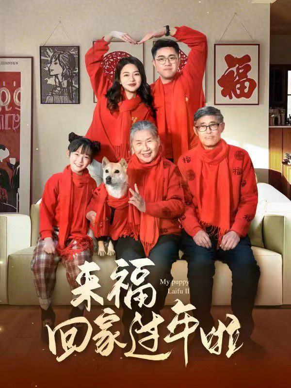 來?；丶疫^年啦(全集)