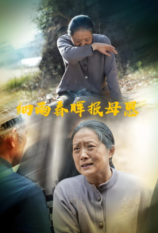 細(xì)雨春暉報(bào)母恩(全集)