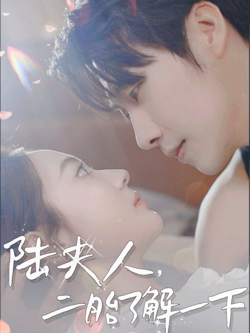 陸夫人，二胎了解一下(全集)