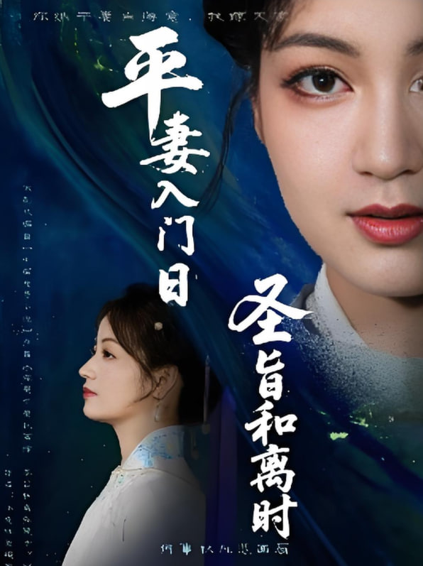 平妻入門日圣旨和離時(shí)(全集)