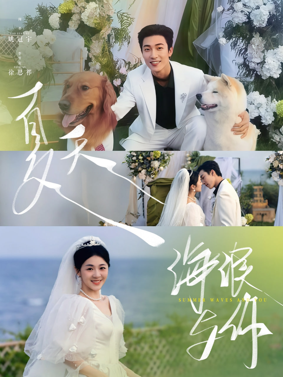 夏天，海浪與你(全集)