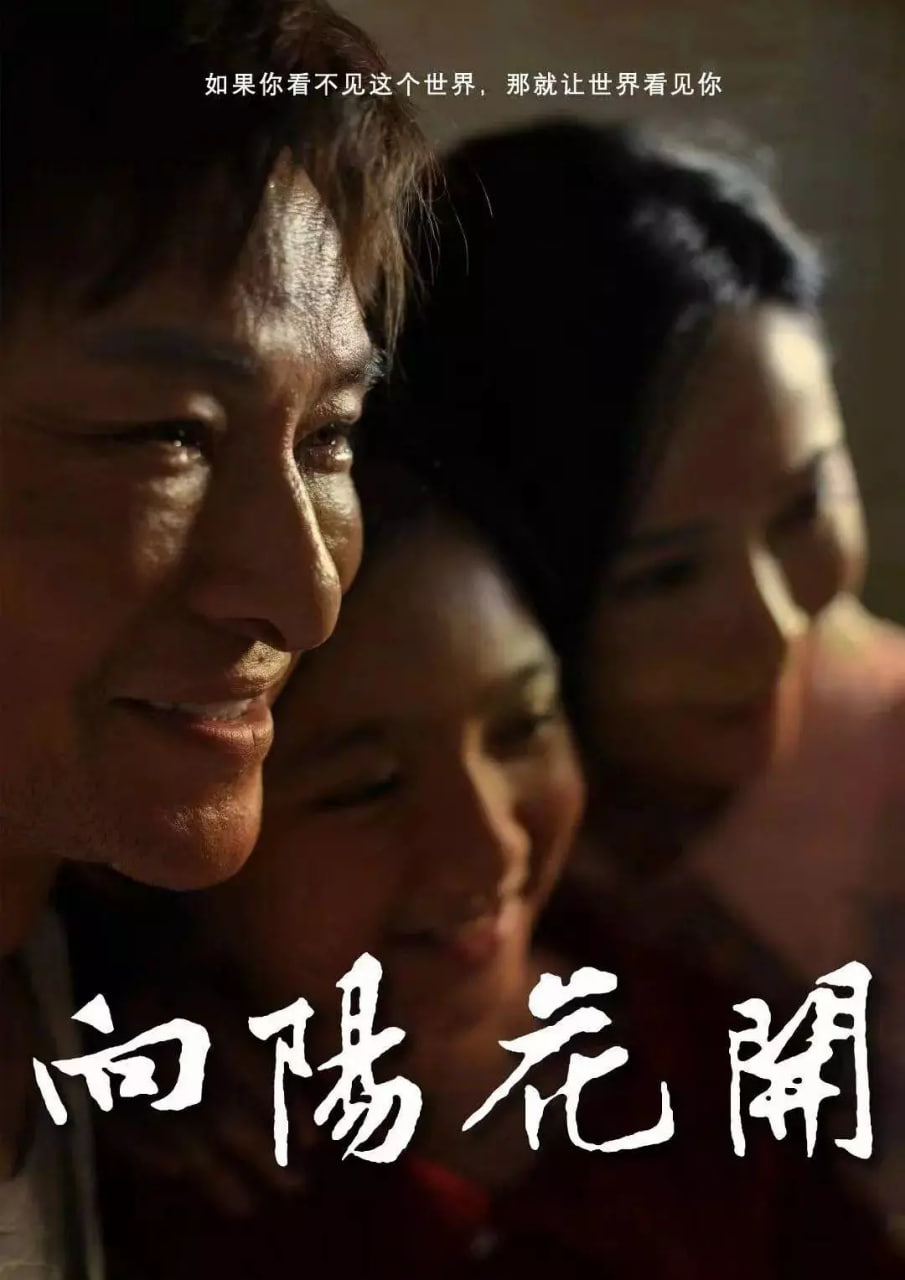向陽(yáng)花開(kāi) 2024(全集)