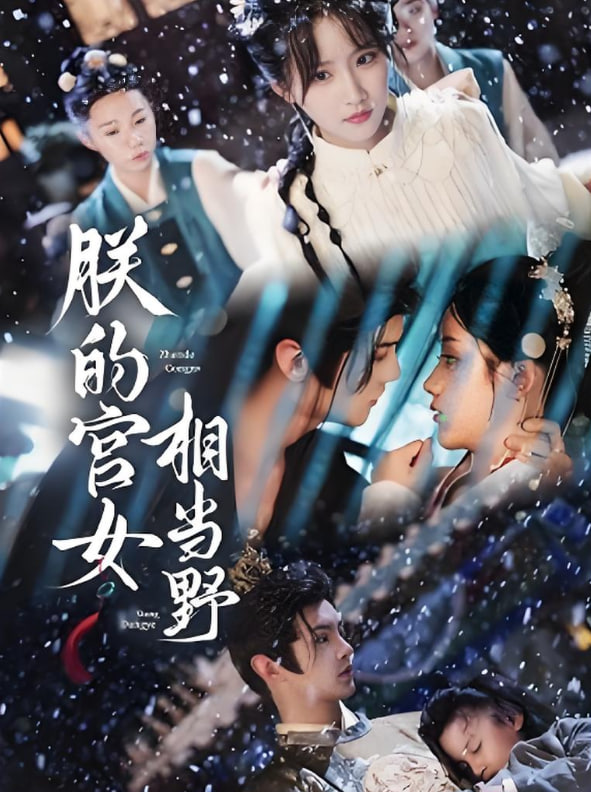 朕的宮女相當(dāng)野(全集)