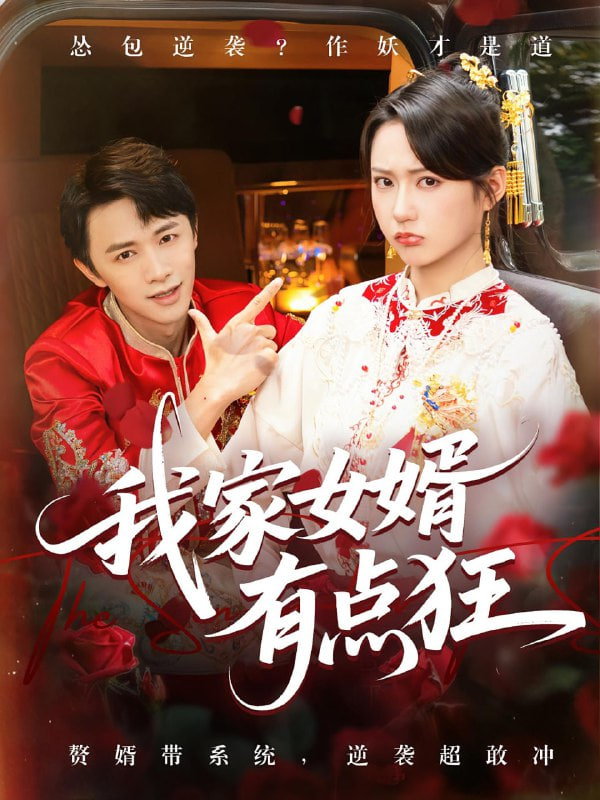 我家女婿有點狂(全集)
