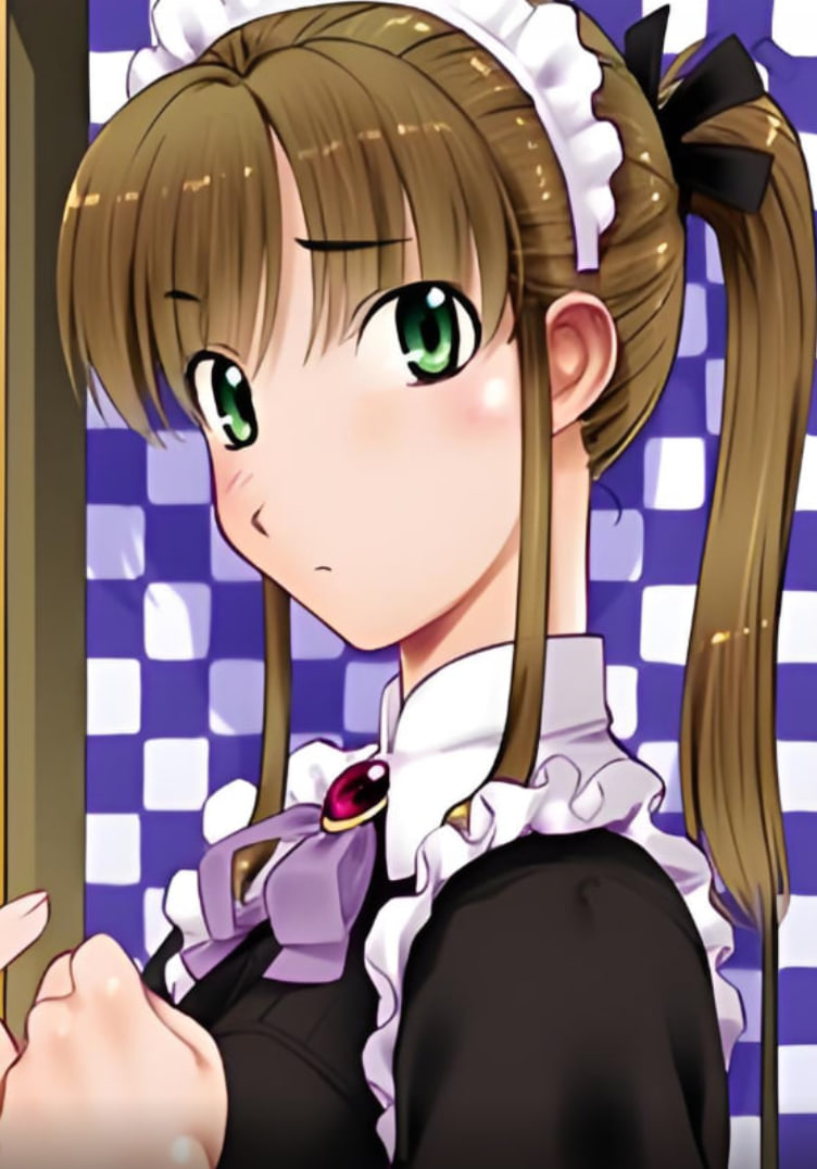 女仆調(diào)教計(jì)劃(全集)